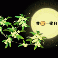 奧邦|遙望月將圓，顧家正當(dāng)時